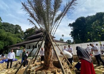 Mengenal Taman Tumbuhan Qur’an di Kebun Raya Bogor 