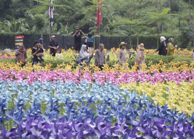 Naik Siginifikan, Pengunjung Dairyland Farm Theme Park Puncak Tembus 5.000