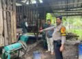 11 Kambing Milik Warga di Ciomas Hilang Digondol Maling
