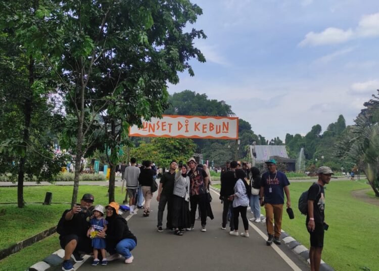 BRIN Suarakan Pesan Konservasi Lewat Pertunjukan Musik Sunset di Kebun Raya