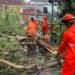 Angin Kencang di Cibinong, Pohon Tumbang Timpa Mobil di Area DPRD Kabupaten Bogor