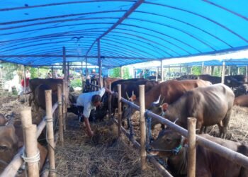 Jelang Idul Adha, Lapak Hewan Kurban Mulai Ramai di Kabupaten Bogor 