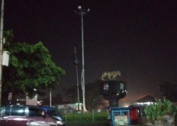 PJU di Patung Macan Harjasari Mati, Warga Keluhkan Lambannya Penanganan