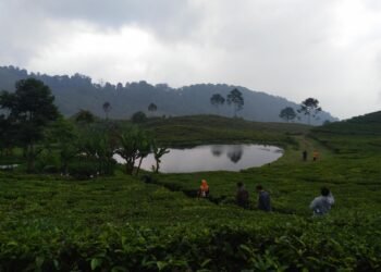 Wisata alam