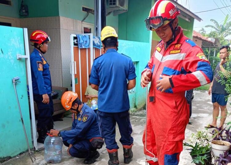Hendak Buka Pintu, Warga Bojonggede Dikejutkan Ular yang Muncul di Depan Rumah