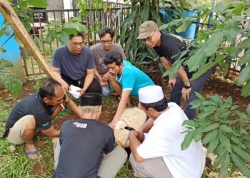 Idul Adha 2024, PWI Kota Bogor Sembelih 2 Ekor Kambing