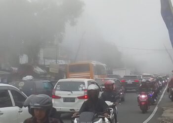 Kabut Tebal Selimuti Puncak Bogor Bikin Wisatawan Berasa di Negeri Atas Awan