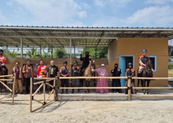 Tawarkan Pengalaman Berkuda, D Bogor Stable Bisa Jadi Pilihan Bagi Pecinta Kuda di Kota Bogor