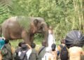 Puncak Roadshow IAPVC 2024 di Taman Safari Bogor: Kompetisi Foto dan Video Satwa Taman Safari Indonesia ke 33