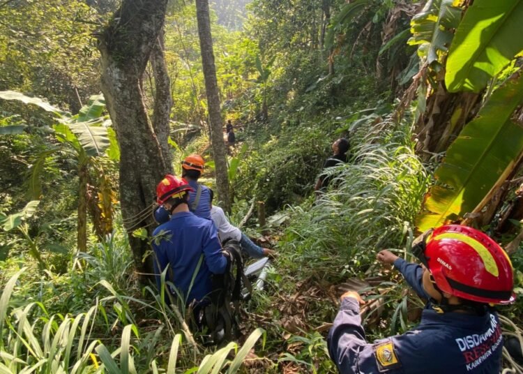Diduga Sakit Jantung, Pria 73 Tahun di Caringin Tewas di Atas Pohon Kelapa