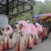 Sambut HUT ke-79 RI, Taman Safari Bogor Siapkan Parade Satwa dan Budaya Besar-besaran!