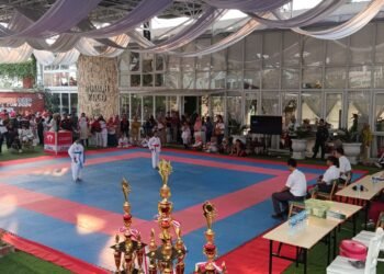 Meriahkan HUT ke-79 RI, D’Sawah Gelar Kejuaraan Karate, Pentas Seni hingga Konser Musik 