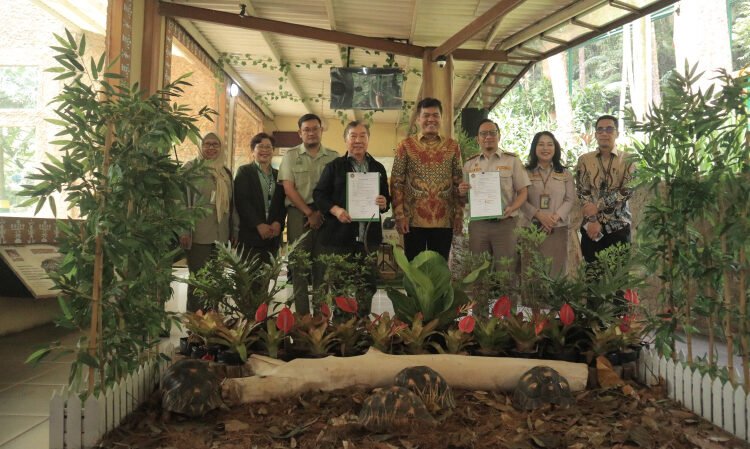 Taman Safari Bogor Terima 4 Kura-kura Madagaskar Sitaan Badan Karantina Indonesia