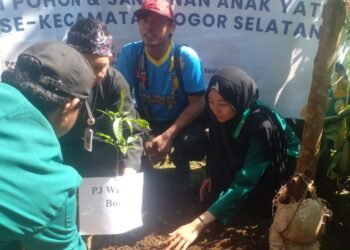 Kolaborasi Pemuda dan Mahasiswa Tanam Pohon di Bogor Selatan