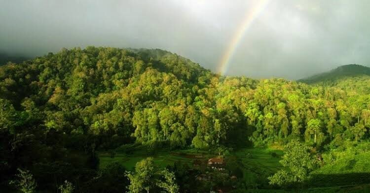 Menengok Pesona Wisata Tersembunyi di Desa Malasari Bogor