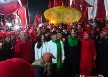 Diibaratkan Semut Lawan Gajah, PDIP Kuatkan Akar Rumput Hadapi Rudy-Jaro Ade di Pilkada