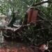 Angin Kencang, Rumah Dinas Camat Leuwiliang Tertimpa Pohon Tumbang
