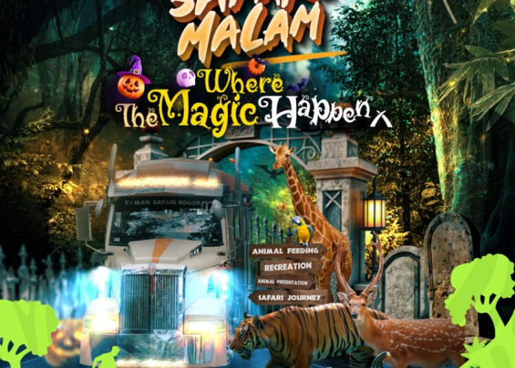 Safari Malam edisi spesial Halloween 2024 (Dok.Taman Safari)