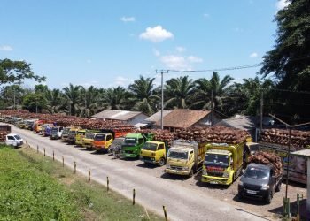 Pabrik Swasta Rusak,   PTPN Ambil Langkah Berani Tampung Sawit Masyarakat