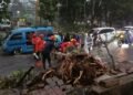 Diterjang Angin Kencang, Pohon Tumbang-Melintang di Jalan KH. Abdullah Bin Nuh 