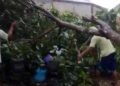 Hujan Deras dan Angin Kencang Sebabkan Bencana di 12 Kecamatan Kabupaten Bogor