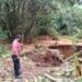 Pergerakan Tanah di Klapanunggal, 2 KK Terancam hingga Mengungsi