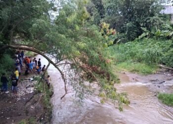 Balita 2 Tahun di Tanah Sareal Hanyut di Sungai Ciliwung, SAR Gabungan Terus Cari Korban 