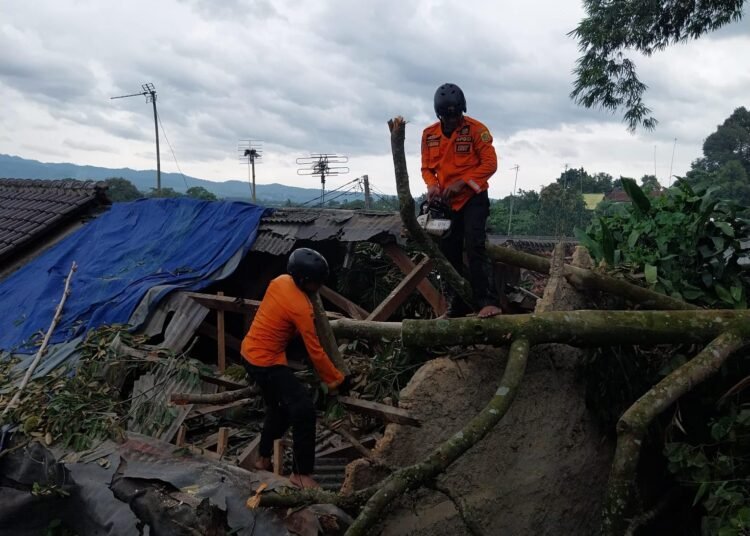 Rumah Warga di Cigombong Rusak Tertimpa Pohon Durian 