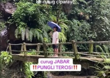 Polisi Amankan Pelaku Pungli di Taman Nasional Gunung Halimun Salak