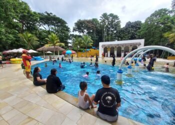 Promo KTP Hadir Kembali, Masuk The Jungle Hanya 50 Ribuan