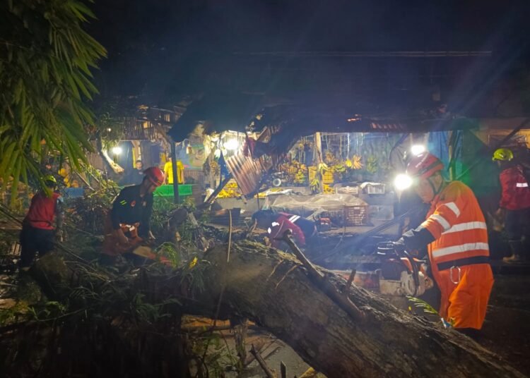 Diguyur Hujan, Pohon Lamtoro Tumbang hingga Tutup Akses Jalan di Cimahpar