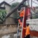 Diterjang Angin Kencang, Pohon Tumbang Tutupi Akses Jalan di Cibinong