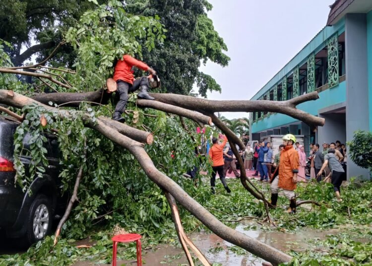 Pohon Tumbang di SMKN 3 Kota Bogor, 5 Mobil Rusak