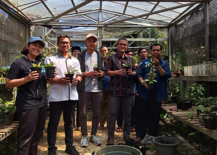 MNC Group Sumbang Pupuk Kasgot untuk Petani Hoya Desa Benda 