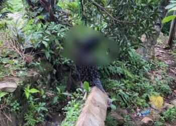 Diduga Depresi, Pria di Gunungputri Ditemukan Menggantung di Pohon Mangga