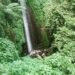 Curug Nangka Bogor, Wisata Air Terjun Setinggi 20 Meter di Kawasan TNGHS