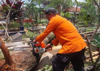 BPBD Evakuasi Pohon Tumbang Timpa Makam di Tegal Gundil