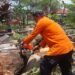 BPBD Evakuasi Pohon Tumbang Timpa Makam di Tegal Gundil