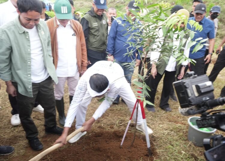 Pemkab Bogor Klaim Upaya Penghijauan di Puncak Diinisiasi Bupati