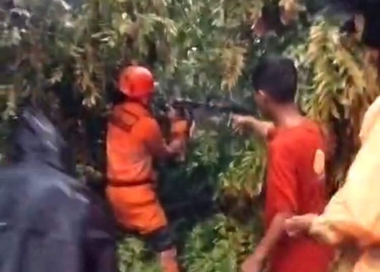 Hujan Deras Disertai Angin Kencang, Kota Bogor Diterpa 33 Bencana