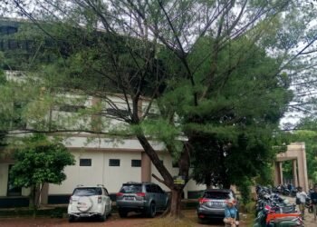 Budayawan Sarankan Pemkab Bogor Ubah Arsitektur Gedung Kesenian dengan Ikon Sunda