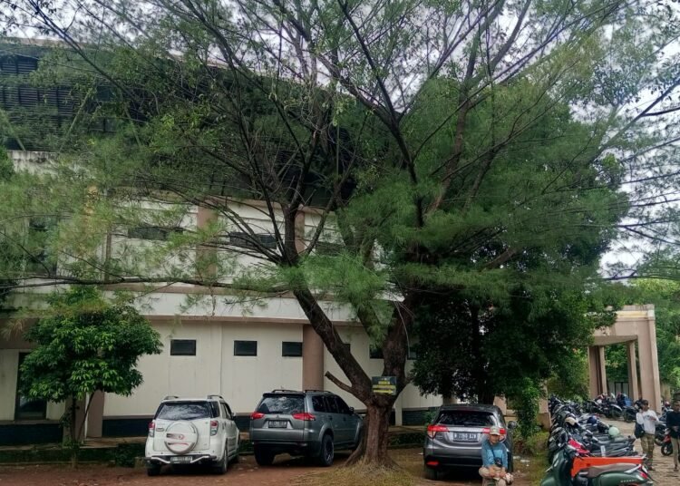 Budayawan Sarankan Pemkab Bogor Ubah Arsitektur Gedung Kesenian dengan Ikon Sunda