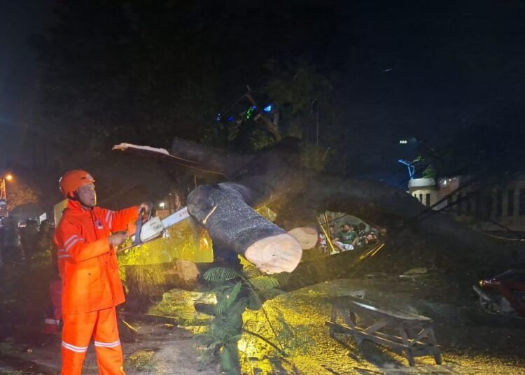 3 Pemotor Terluka Usai Tertimpa Pohon Tumbang di Gunung Putri