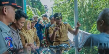 Waspada Pohon Tumbang, Jenal Tegaskan Pentingnya Pemeriksaan Rutin Jelang Musim Hujan