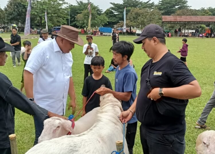 Adu Ketangkasan Domba TNI AU Jadi Momen Peternak Bogor Unjuk Gigi
