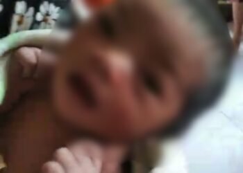 Bayi Perempuan yang Diduga Baru Dilahirkan Ditemukan di Saung Warga Citeureup