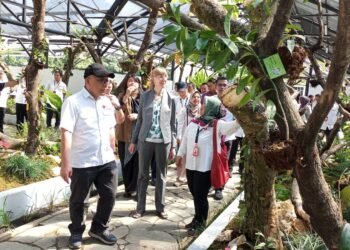 Rumah Kaca Hoya Meriahkan Hari Jadi ke 208 Kebun Raya Bogor