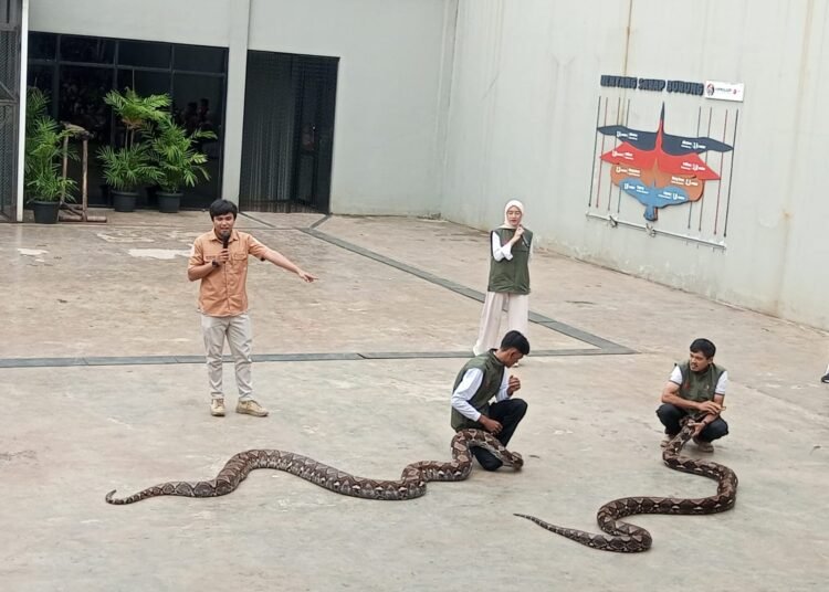 Serunya Animalium Fest 2025, dari Ular Sanca hingga Binturong Jawa Dipamerkan