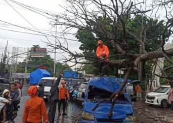 Pohon Tumbang Timpa Angkot dan 2 Motor di Cibinong, 3 Orang Terluka
