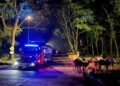 Taman Safari Hadirkan Glowtopia : The Miracles Of Night, Pengalaman Wisata Malam Pertama di Indonesia